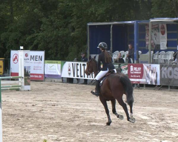 Reitturnier Hellefeld 2026