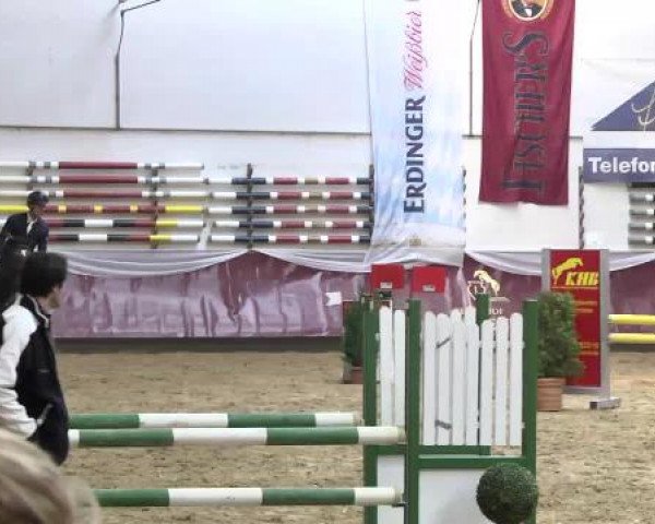 Springturnier Reiterhof Laurent 2015
