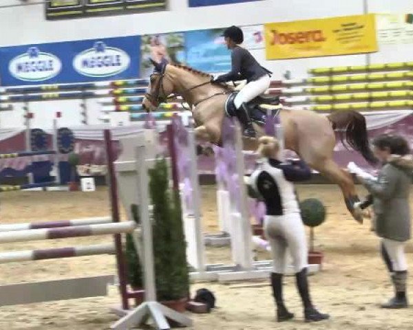 Springturnier Reiterhof Laurent 2015