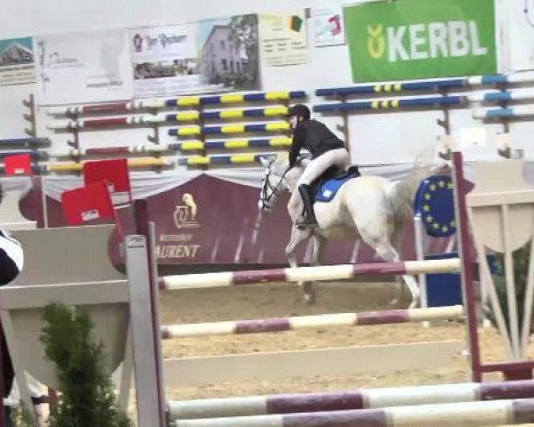 Springturnier Reiterhof Laurent 2015