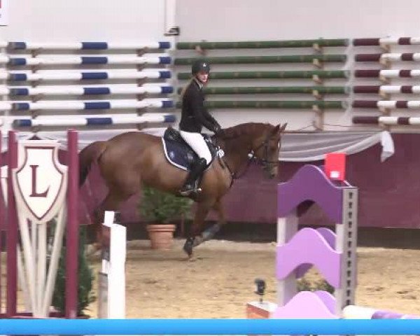 Springturnier Reiterhof Laurent 2015