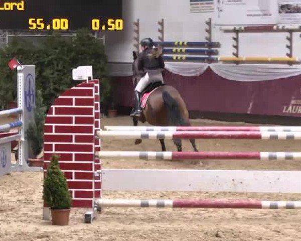 Springturnier Reiterhof Laurent 2015
