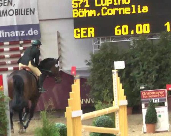 Springturnier Reiterhof Laurent 2015