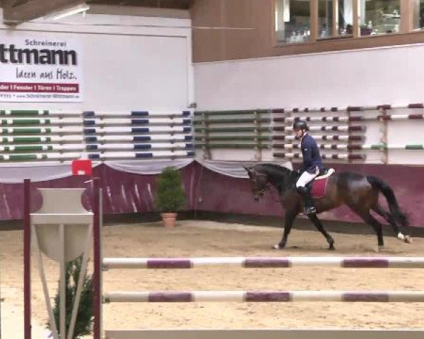 Springturnier Reiterhof Laurent 2015