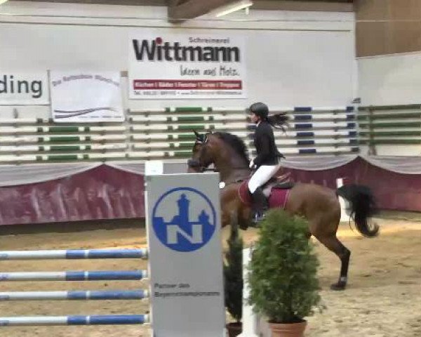 Springturnier Reiterhof Laurent 2015