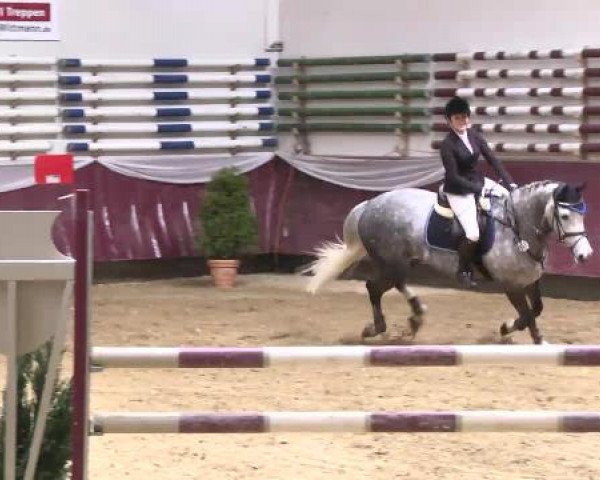 Springturnier Reiterhof Laurent 2015
