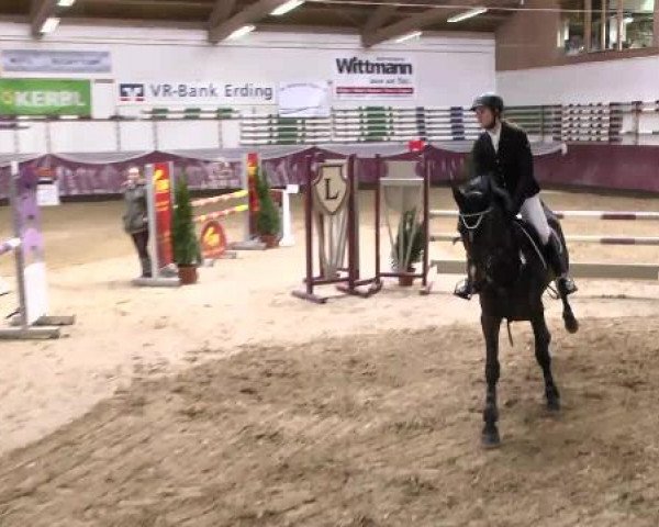 Springturnier Reiterhof Laurent 2015