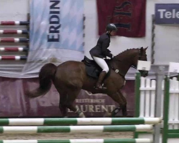 Springturnier Reiterhof Laurent 2015