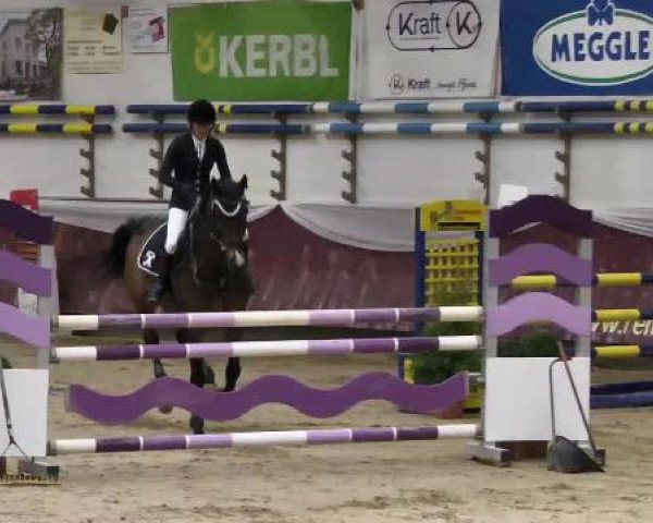 Springturnier Reiterhof Laurent 2015