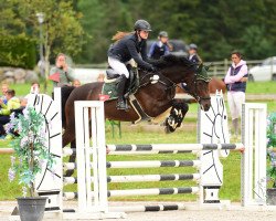 broodmare Wodka Lady O.k. (German Sport Horse, 2010, from Contenaro)