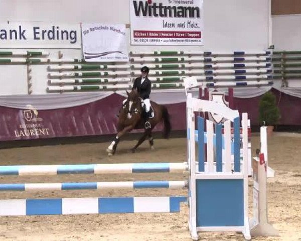 Springturnier Reiterhof Laurent 2015