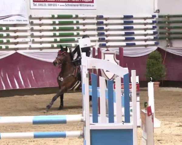 Springturnier Reiterhof Laurent 2015