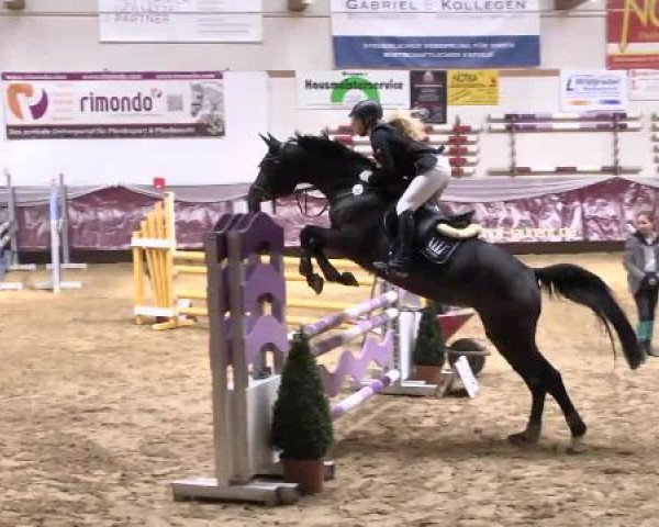 Springturnier Reiterhof Laurent 2015