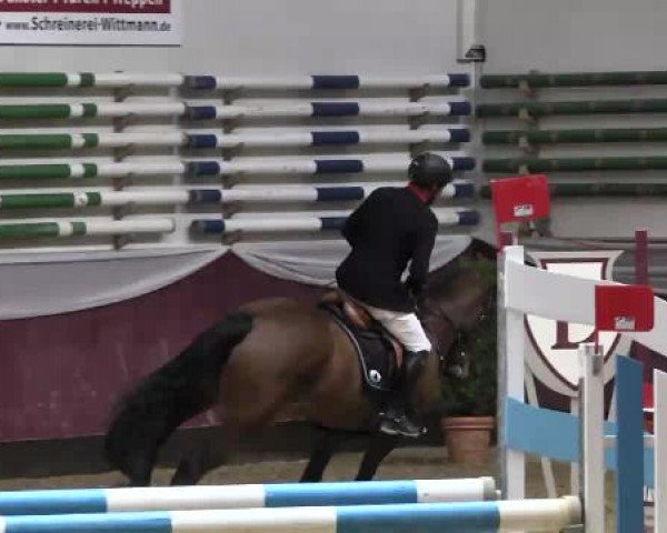 Springturnier Reiterhof Laurent 2015