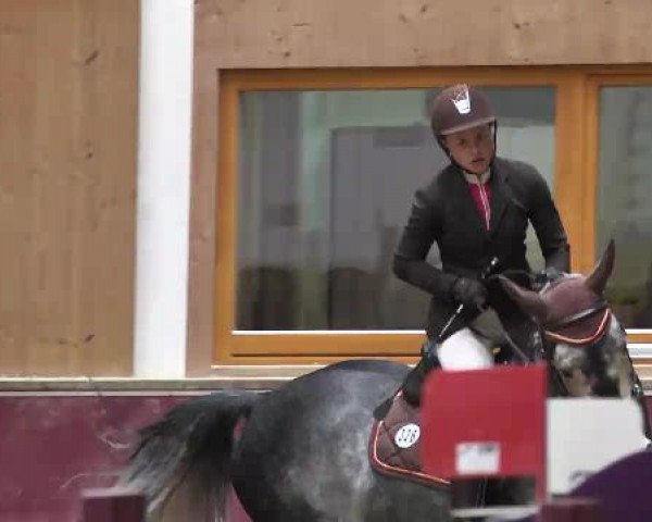 Springturnier Reiterhof Laurent 2015