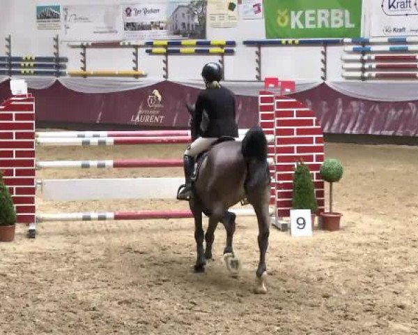 Springturnier Reiterhof Laurent 2015