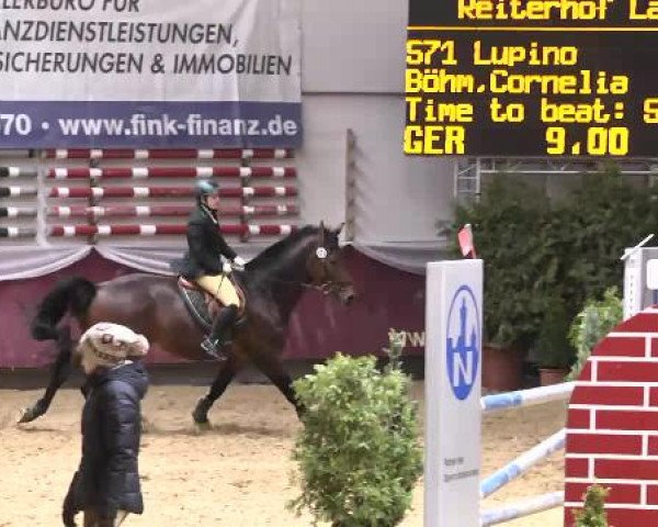 Springturnier Reiterhof Laurent 2015