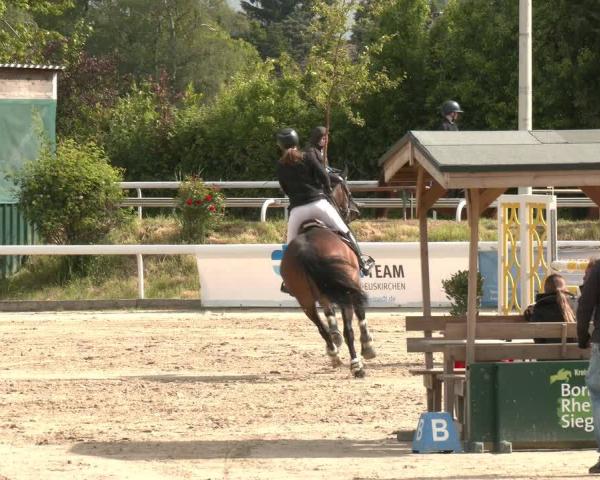 Jezdecký turnaj Bornheim-Widdig 2026