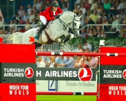 stallion Cabrio van de Heffinck (Holsteiner, 2002, from Cassini I)