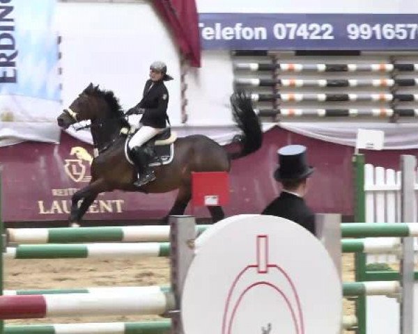 Springturnier Reiterhof Laurent 2015
