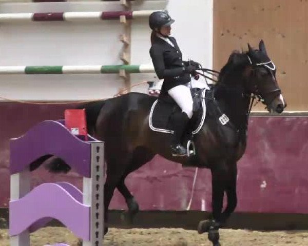 Springturnier Reiterhof Laurent 2015