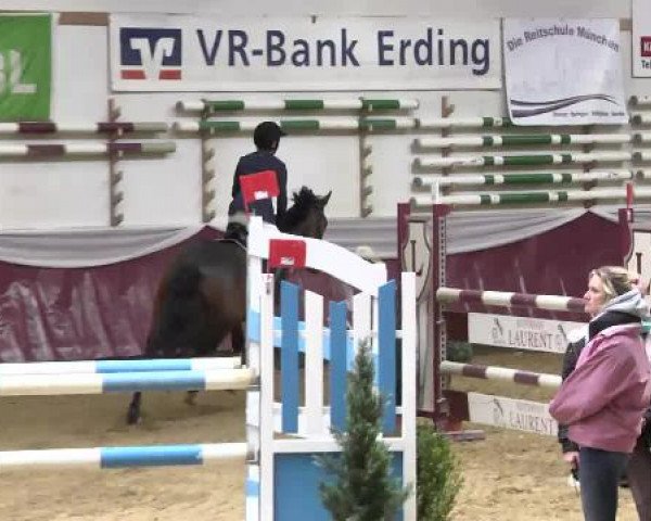 Springturnier Reiterhof Laurent 2015