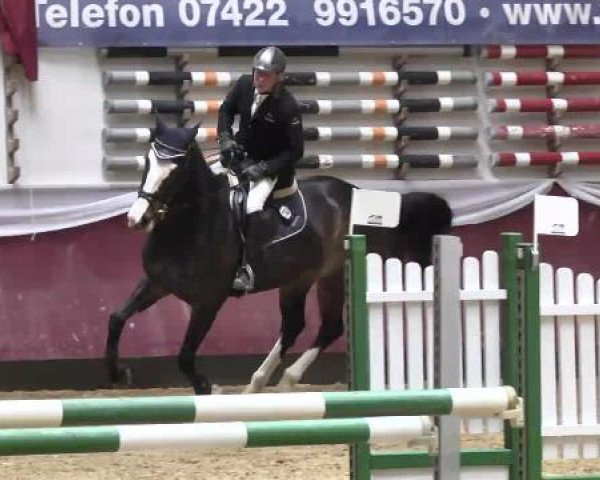 Springturnier Reiterhof Laurent 2015