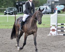 jumper Enjoy Festiwal WS (Hanoverian, 2014, from Embassy I)
