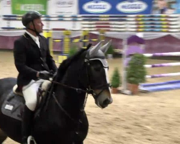 Springturnier Reiterhof Laurent 2015