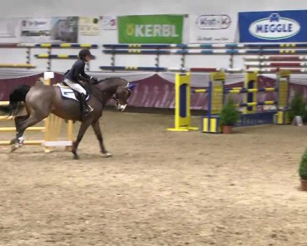 Springturnier Reiterhof Laurent 2015