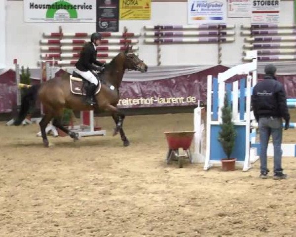 Springturnier Reiterhof Laurent 2015