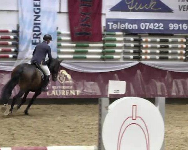 Springturnier Reiterhof Laurent 2015