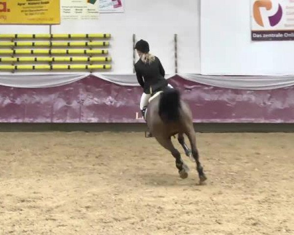 Springturnier Reiterhof Laurent 2015