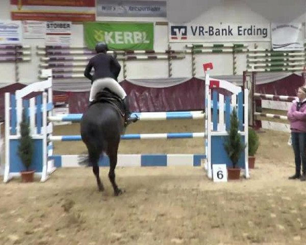 Springturnier Reiterhof Laurent 2015