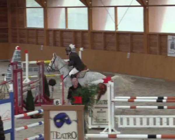 Hallenspringturnier Xanten - Reitanlage Miß 2015