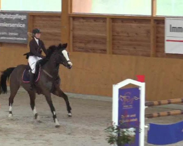 Hallenspringturnier Xanten - Reitanlage Miß 2015