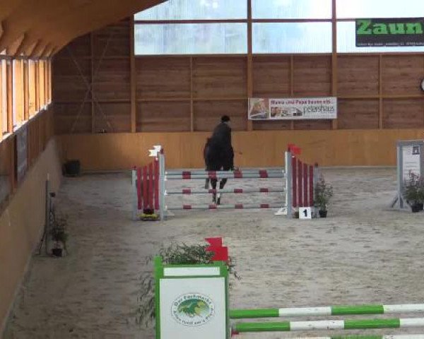 Hallenspringturnier Xanten - Reitanlage Miß 2015
