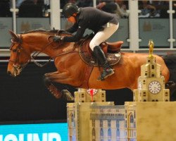 jumper Dauphin (KWPN (Royal Dutch Sporthorse), 2008, from Albführen's Memphis)