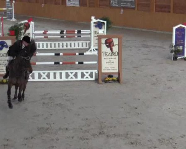 Hallenspringturnier Xanten - Reitanlage Miß 2015