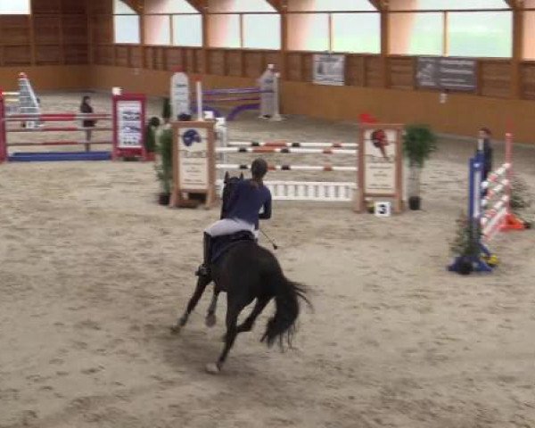 Hallenspringturnier Xanten - Reitanlage Miß 2015