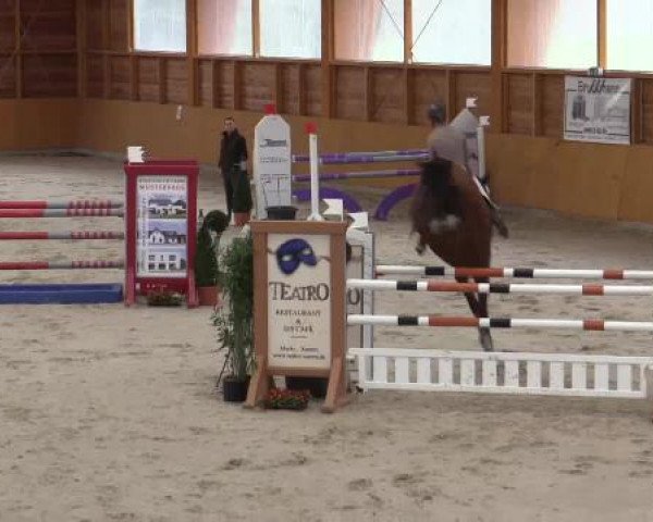 Hallenspringturnier Xanten - Reitanlage Miß 2015