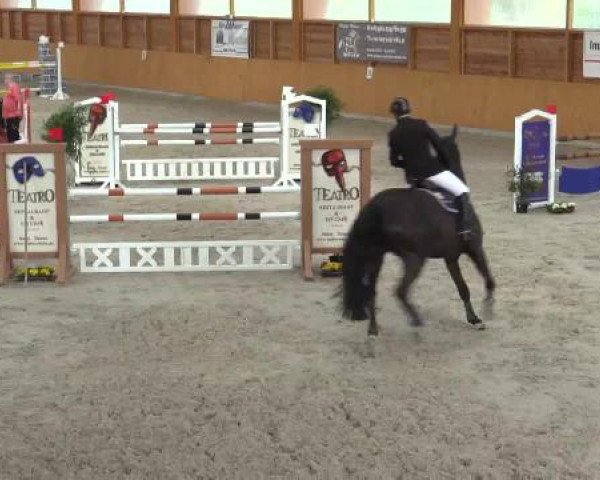 Hallenspringturnier Xanten - Reitanlage Miß 2015