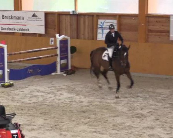 Hallenspringturnier Xanten - Reitanlage Miß 2015