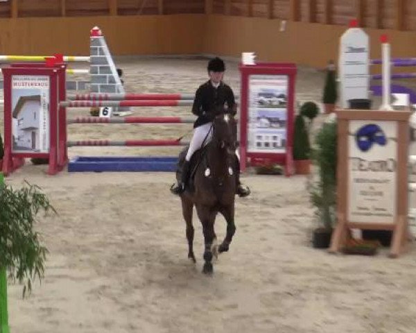 Hallenspringturnier Xanten - Reitanlage Miß 2015