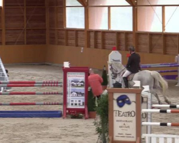 Hallenspringturnier Xanten - Reitanlage Miß 2015