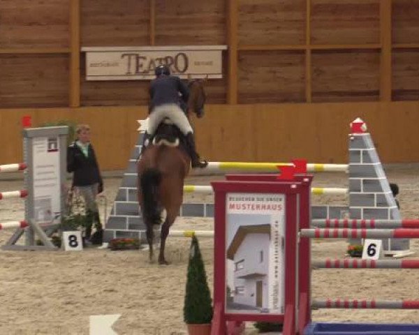 Hallenspringturnier Xanten - Reitanlage Miß 2015