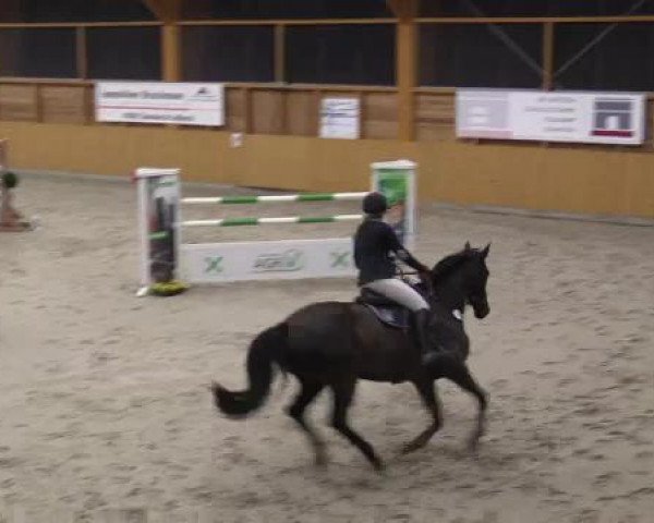 Hallenspringturnier Xanten - Reitanlage Miß 2015