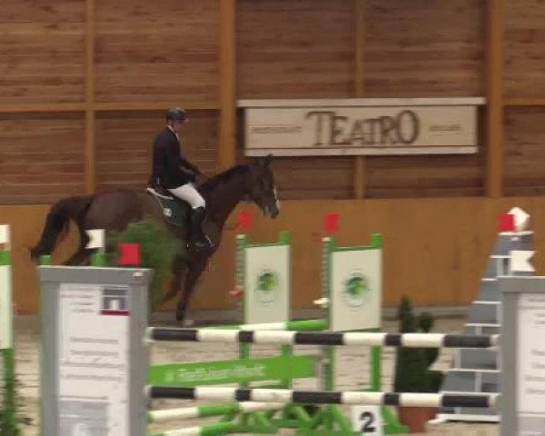 Hallenspringturnier Xanten - Reitanlage Miß 2015
