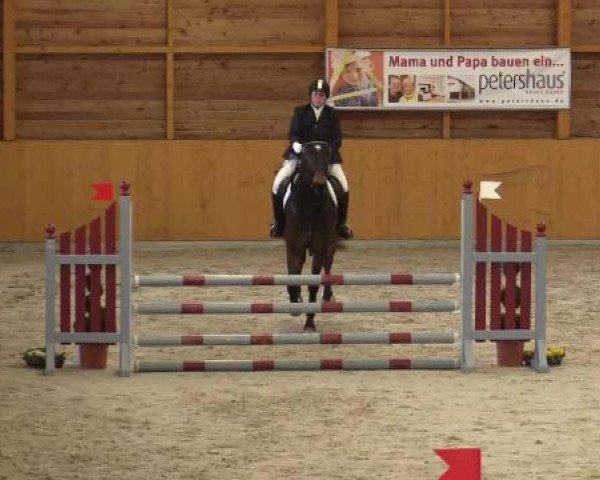 Hallenspringturnier Xanten - Reitanlage Miß 2015