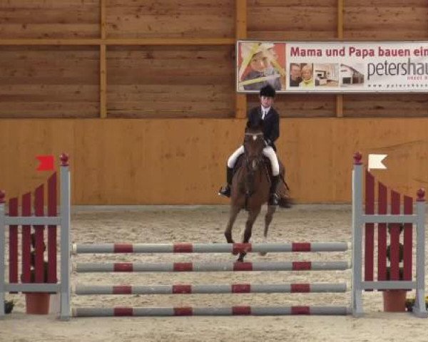 Hallenspringturnier Xanten - Reitanlage Miß 2015